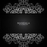 Luxury pattern beautiful mandala decorative isolated background vector