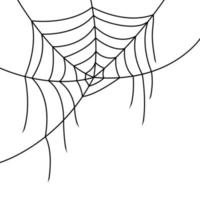 Spider web isolated on white background vector