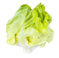 little head of fresh butterhead lettuce isolated photo