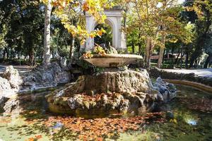 fountain with fallen leaves in Rome city photo