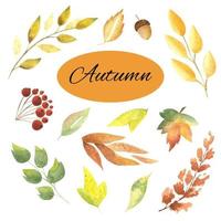 conjunto de acuarela de hermosas hojas de otoño coloridas en vector. ilustración de otoño dibujada a mano. resaltado sobre un fondo blanco. adecuado para el diseño de otoño vector