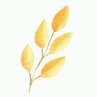 Vector watercolor illustration of a floral autumn element. Autumn botanical illustrations. Orange and yellow autumn branches with leaves