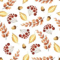 Watercolor Illustration of a seamless pattern from the branches of mountain ash, berries, leaves, botanical elements. Cute simple style. Suitable for winter holidays and natural botanical motives. vector