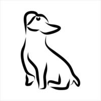 Line drawing of dog vector