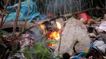 quemando basura en el jardin video