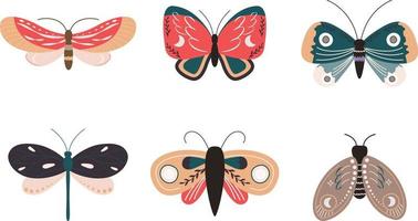 colección de mariposas adornadas vector