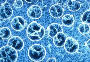 Virus background with disease cells photo