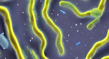 bacteria virus or germs microorganism cells. 3d rendering photo