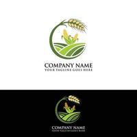 diseño de logotipo vectorial para agricultura, agronomía, cultivo de trigo, campos agrícolas rurales, cosecha natural vector