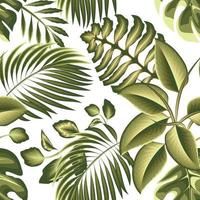 vintage green rainforest illustration seamless pattern with tropical coconut monstera leaves and plants foliage in monochromatic style on light background. nature decorative. summer themed. texture vector