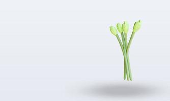 3d Vegetable Asparagus rendering right view photo