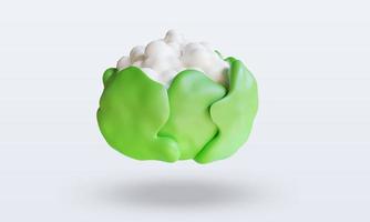 3d Vegetable Cauliflower rendering front view photo