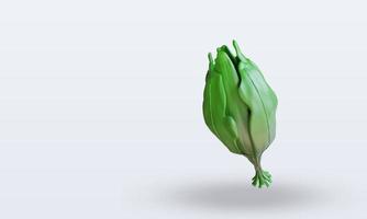 3d Vegetable Spinach rendering top view photo