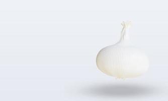 3d Vegetable Garlic rendering right view photo