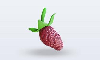 3d Fruits Mulberry rendering front view photo