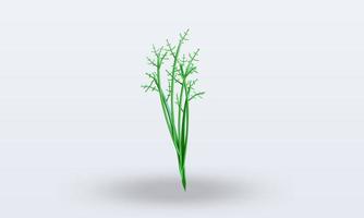 3d Vegetable Dill rendering front view photo