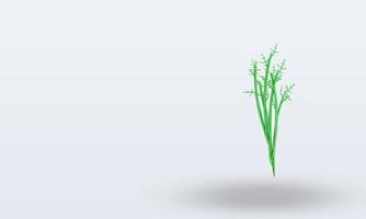 3d Vegetable Dill rendering right view photo