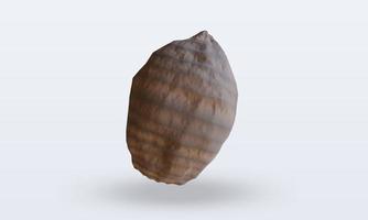 3d Vegetable Taro rendering front view photo