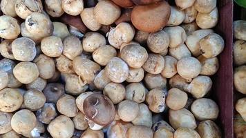 champiñones frescos en el mercado de agricultores. alimento. shiitake, champiñón de paja video