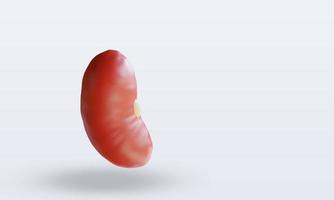 3d Vegetable Red bean rendering left view photo