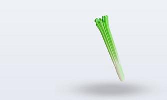 3d Vegetable Leek rendering top view photo