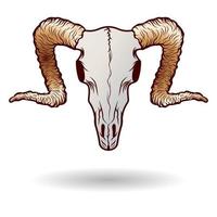 Goat skull element illustration. Fit for apparel, merchandise, poster. Hand drawing design of skull. Vector eps 10.