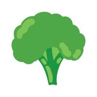 broccoli healthy food vector