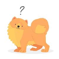 A pomeranian spitz dog with a question mark. Dog question. An uncomprehending dog with its head tilted. Vector pet illustration.