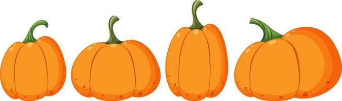 Set of different pumpkin shapes vector