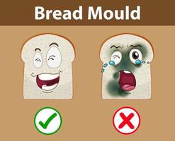 Inedible bread with mould vector