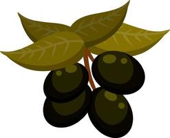 Olive. Green vegetable on branch with leaves. Element of oil and a healthy diet. Cartoon flat illustration isolated on white vector