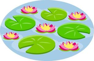 Nenuphars. Water lily. Plant on lake and reservoir. Big green leaf. Element of nature, forest and wild life. Swamp Pink flowers. Flat cartoon vector