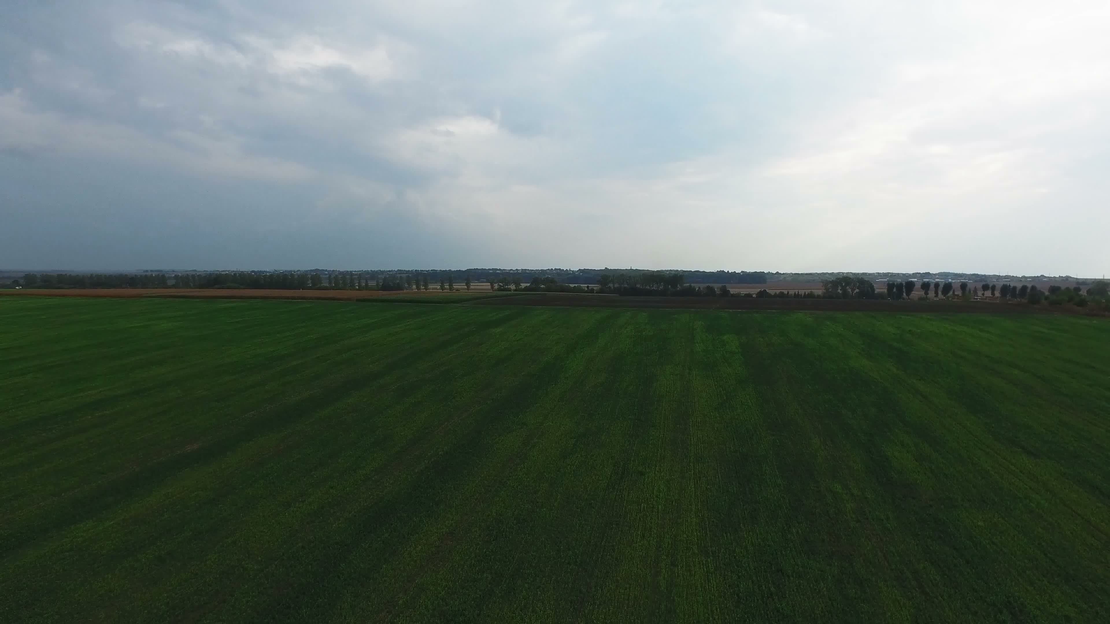 Green open fields near Kyiv, Ukraine 11481386 Stock Video at Vecteezy