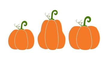 Three vector pumpkins in simple style. Cartoon autumn illustration. Isolated vegetable icon