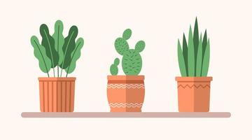 Vector green flat plants in pots on the shelf. Simple interior illustration. Floral decorative elements for design, game, concepts.