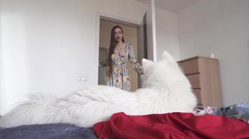 una mujer encuentra un perro mascota esponjoso tirado en la ropa limpia video