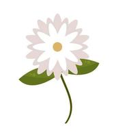 white flower icon vector