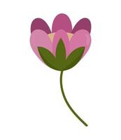 flower cartoon icon vector