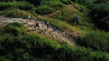 grupo de corredores recorre senderos y pasarelas en un día soleado video