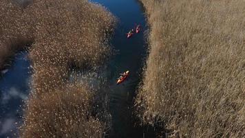 gruppo di arancia kayak pagaia attraverso ventoso ruscello nel palude natura la zona video