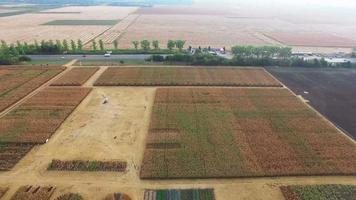 Green open fields near Kyiv, Ukraine video