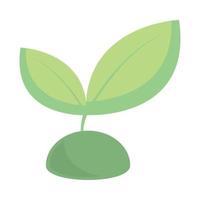 green plant nature vector