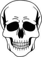 Hand Drawn front skull illustration vector