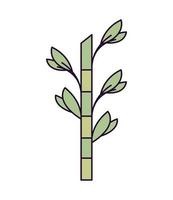 bamboo plant icon vector