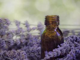 Lavender extract in small bottle near flowering lavender on wooden table with aromatherapy. Essential oil falling from glass dropper into organic bio alternative medicine, brown bottle feel relaxed. photo