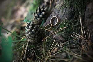 Beautiful gold wedding rings lie in the moss of tree photo