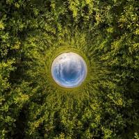 esfera azul pequeño planeta dentro de hierba verde fondo de marco redondo. foto