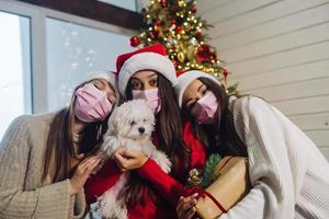 Three girls and a terrier posing for the camera on new year's eve photo