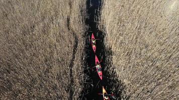 Orange kayaks paddle through wildlife marsh stream video