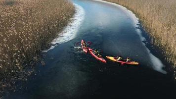 Orange kayaks paddle through wildlife marsh stream video